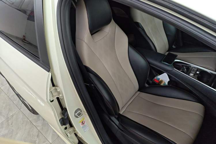 Used BYD Dolphin 2023 420 km Fashion Edition Right Front Seat