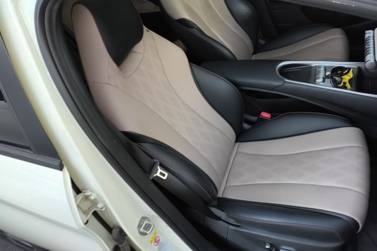 Used BYD Dolphin 2023 420 km Fashion Edition Right Front Seat