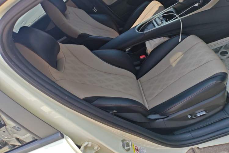 Used BYD Dolphin 2023 420 km Fashion Edition Right Front Seat