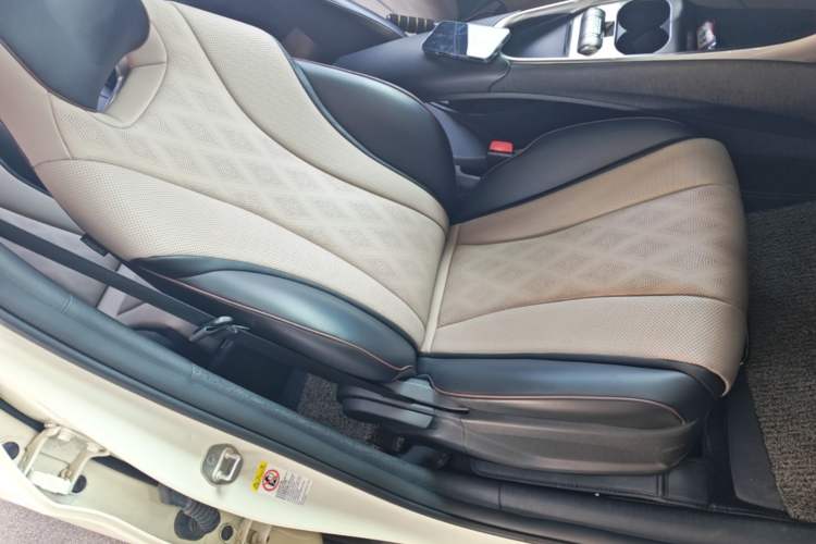 Used BYD Dolphin 2023 420 km Free Version Right Front Seat