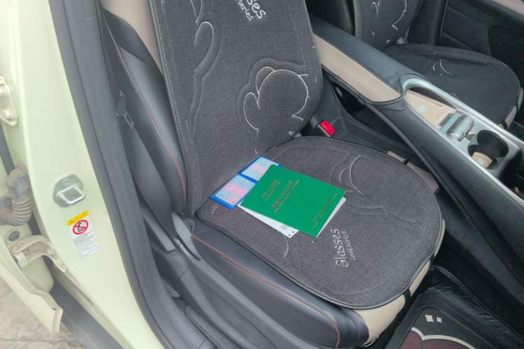 Used BYD Dolphin 2023 420 km Free Version Right Front Seat