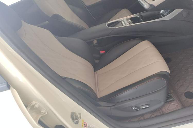 Used BYD Dolphin 2023 420 km Fashion Edition Right Front Seat