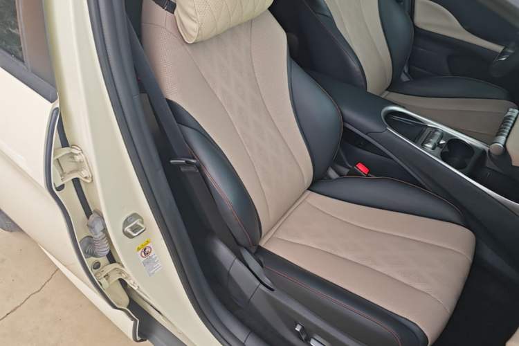Used BYD Dolphin 2023 420 km Fashion Edition Right Front Seat