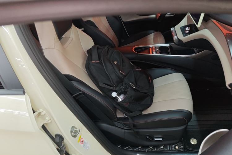Used BYD Dolphin 2023 420 km Fashion Edition Right Front Seat