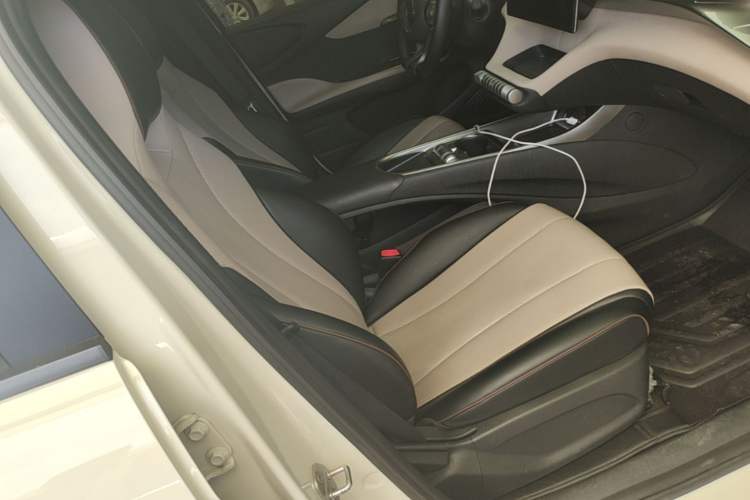 Used BYD Dolphin 2023 420 km Free Version Right Front Seat