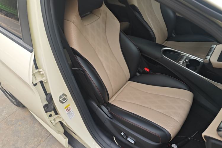 Used BYD Dolphin 2023 420 km Fashion Edition Right Front Seat