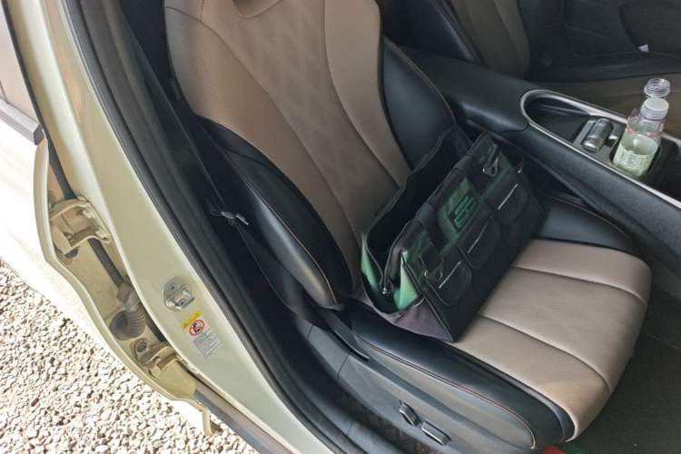 Used BYD Dolphin 2023 420 km Fashion Edition Right Front Seat