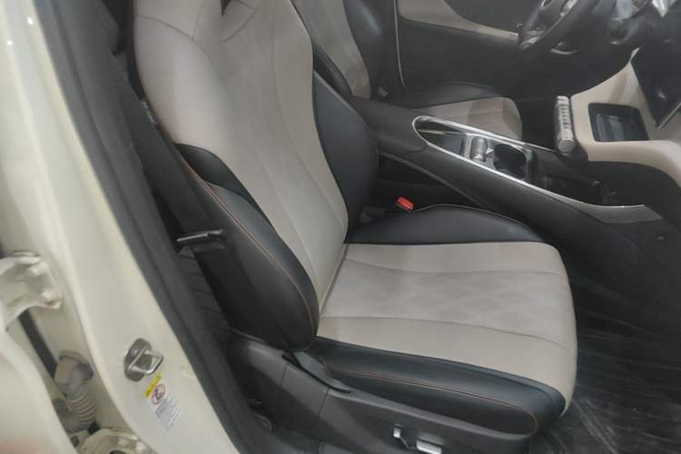 Used BYD Dolphin 2023 420 km Fashion Edition Right Front Seat