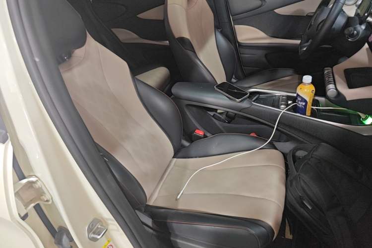 Used BYD Dolphin 2023 420 km Fashion Edition Right Front Seat