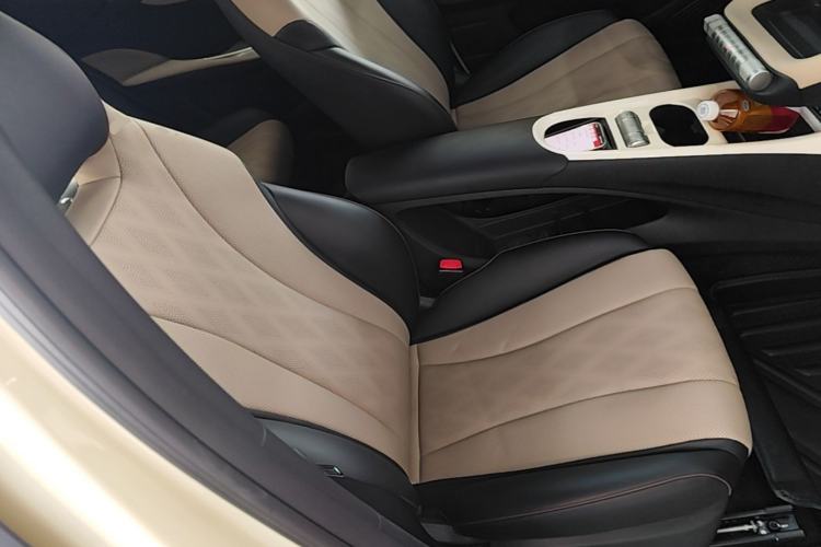 Used BYD Dolphin 2023 420 km Fashion Edition Right Front Seat
