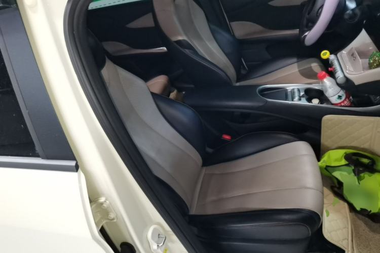Used BYD Dolphin 2023 420 km Free Version Right Front Seat