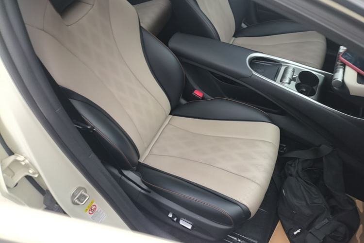 Used BYD Dolphin 2023 420 km Fashion Edition Right Front Seat