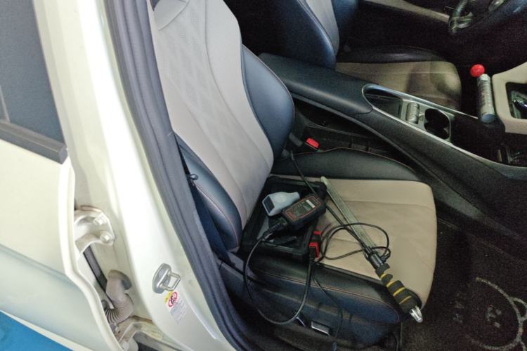 Used BYD Dolphin 2023 420 km Fashion Edition Right Front Seat
