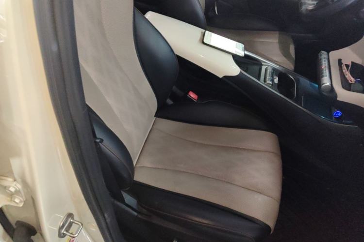 Used BYD Dolphin 2023 420 km Fashion Edition Right Front Seat