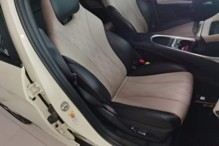 Used BYD Dolphin 2023 420 km Fashion Edition Right Front Seat