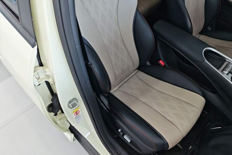 Used BYD Dolphin 2023 420 km Fashion Edition Right Front Seat