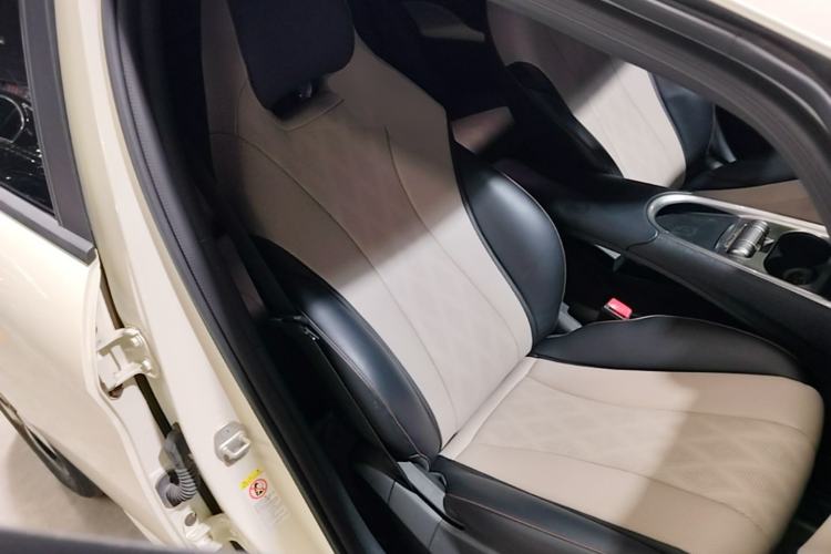Used BYD Dolphin 2023 420 km Fashion Edition Right Front Seat