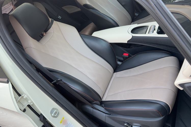 Used BYD Dolphin 2023 420 km Free Version Right Front Seat