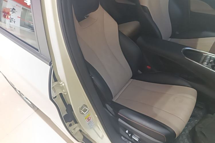 Used BYD Dolphin 2023 420 km Fashion Edition Right Front Seat