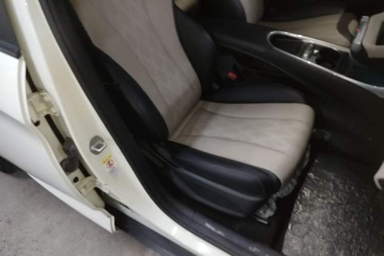 Used BYD Dolphin 2023 420 km Free Version Right Front Seat