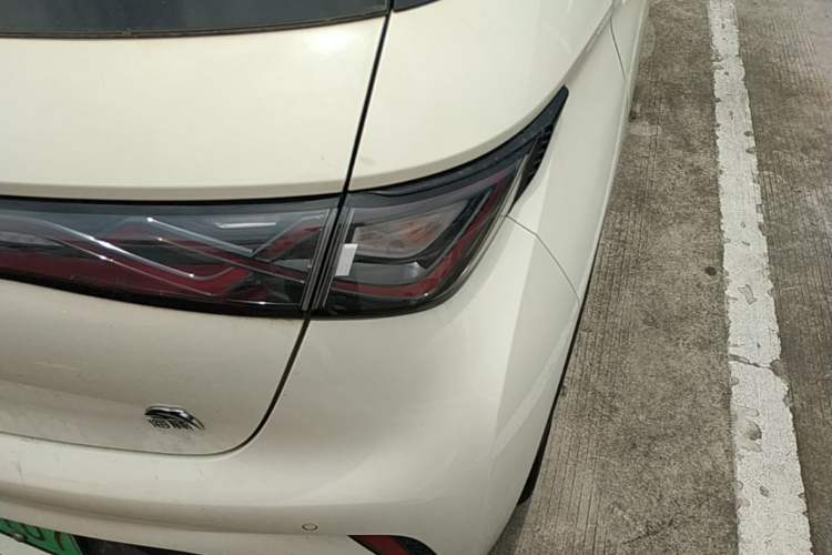 Used BYD Dolphin 2023 420 km Free Version Right Rear Taillight