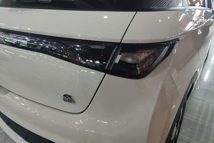 Used BYD Dolphin 2023 420 km Fashion Edition Right Rear Taillight