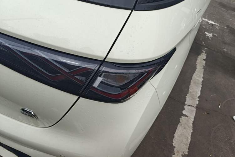Used BYD Dolphin 2023 420 km Fashion Edition Right Rear Taillight