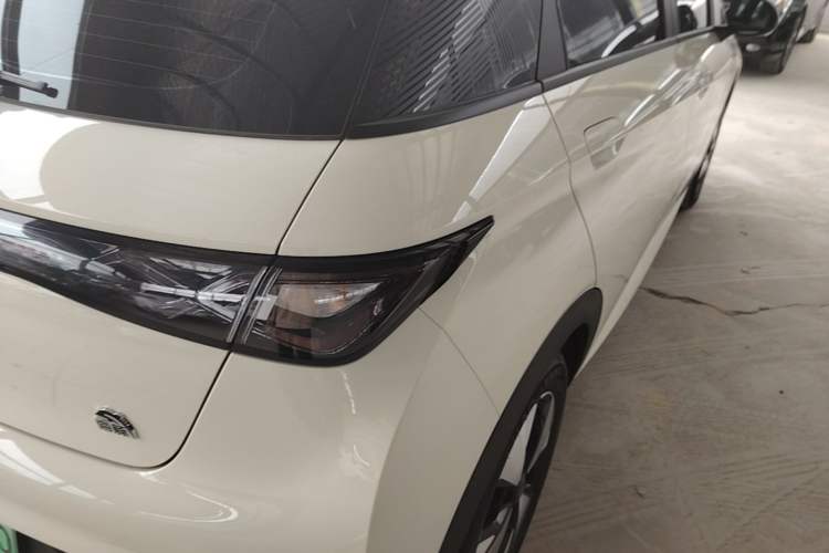 Used BYD Dolphin 2023 420 km Fashion Edition Right Rear Taillight