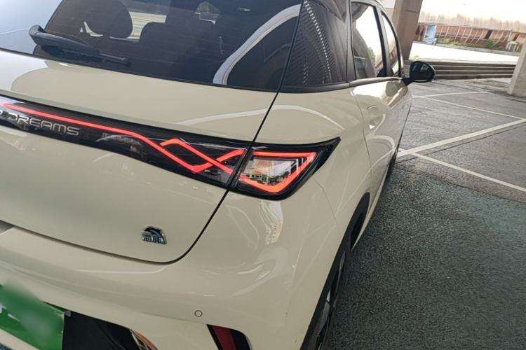 Used BYD Dolphin 2023 420 km Free Version Right Rear Taillight