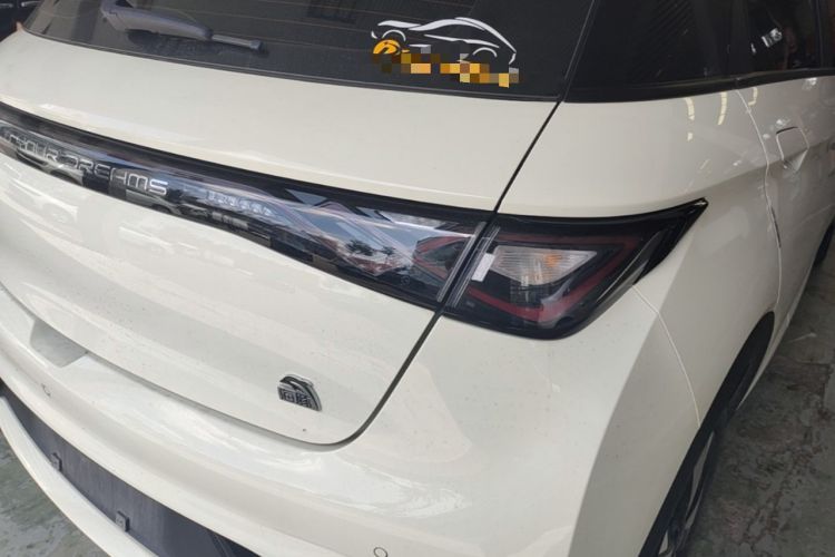 Used BYD Dolphin 2023 420 km Fashion Edition Right Rear Taillight