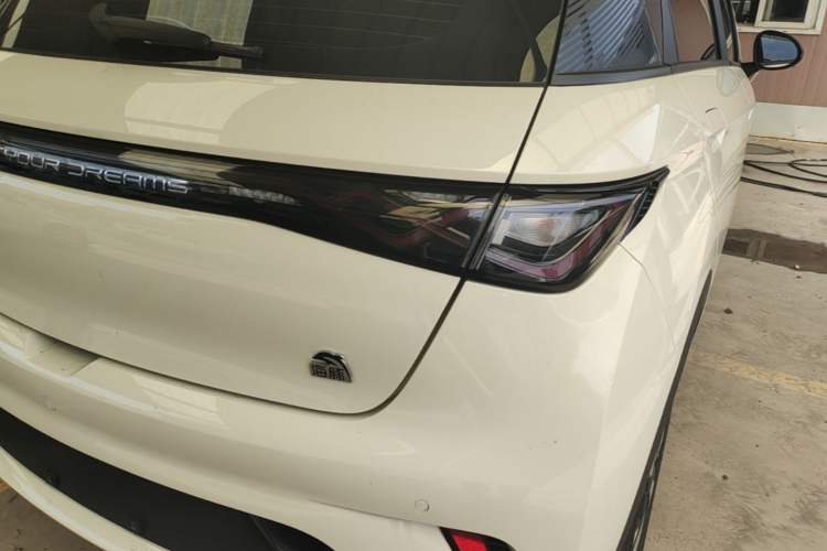 Used BYD Dolphin 2023 420 km Free Version Right Rear Taillight