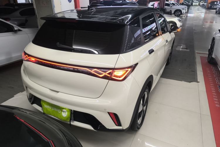 Used BYD Dolphin 2023 420 km Fashion Edition Right Rear Taillight