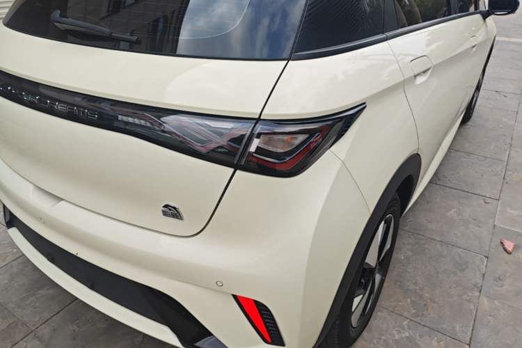 Used BYD Dolphin 2023 420 km Fashion Edition Right Rear Taillight