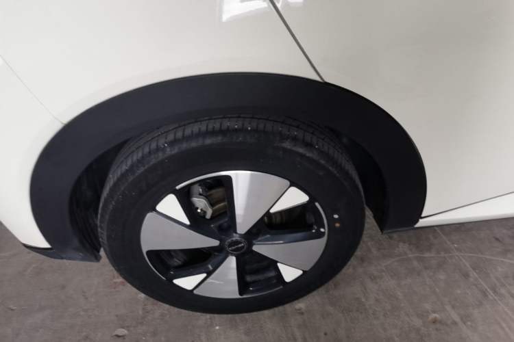 Used BYD Dolphin 2023 420 km Free Version Right Rear Wheel Hub