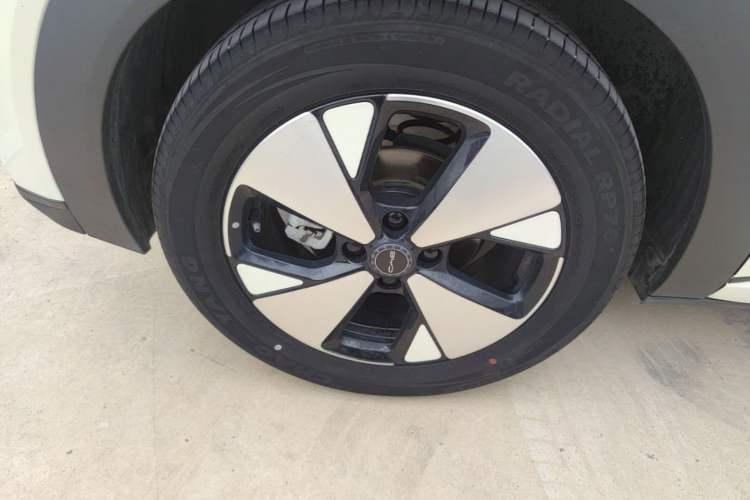 Used BYD Dolphin 2023 420 km Free Version Right Rear Wheel Hub