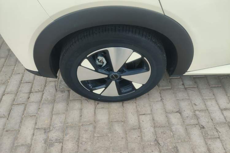 Used BYD Dolphin 2023 420 km Free Version Right Rear Wheel Hub