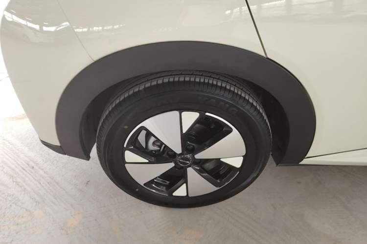 Used BYD Dolphin 2023 420 km Fashion Edition Right Rear Wheel Hub