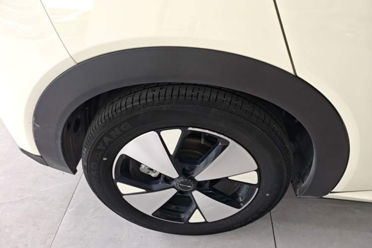 Used BYD Dolphin 2023 420 km Fashion Edition Right Rear Wheel Hub