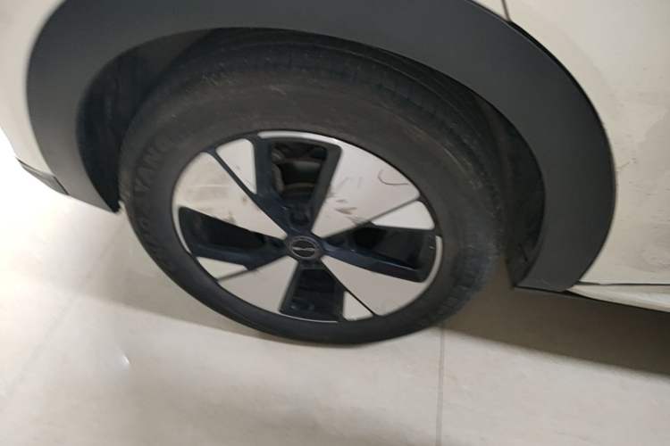 Used BYD Dolphin 2023 420 km Free Version Right Rear Wheel Hub