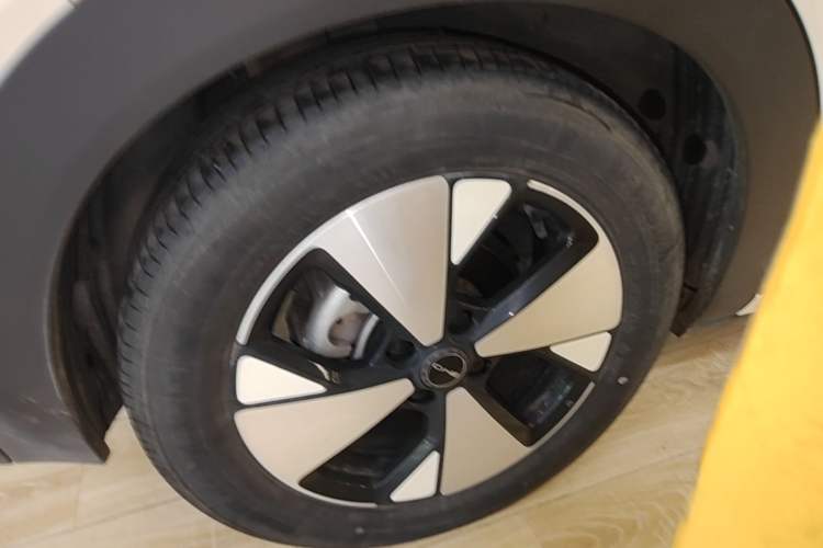 Used BYD Dolphin 2023 420 km Fashion Edition Right Rear Wheel Hub