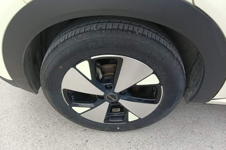 Used BYD Dolphin 2023 420 km Free Version Right Rear Wheel Hub