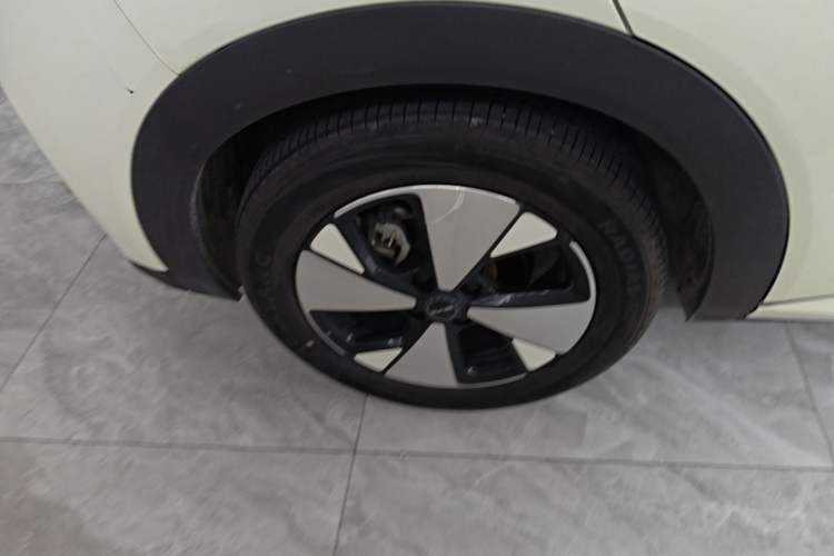 Used BYD Dolphin 2023 420 km Fashion Edition Right Rear Wheel Hub