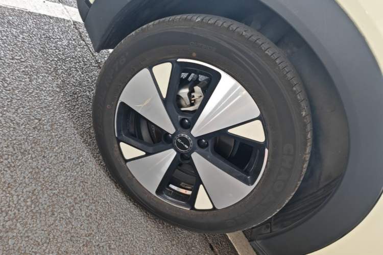 Used BYD Dolphin 2023 420 km Free Version Right Rear Wheel Hub