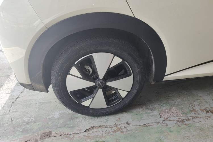 Used BYD Dolphin 2023 420 km Fashion Edition Right Rear Wheel Hub