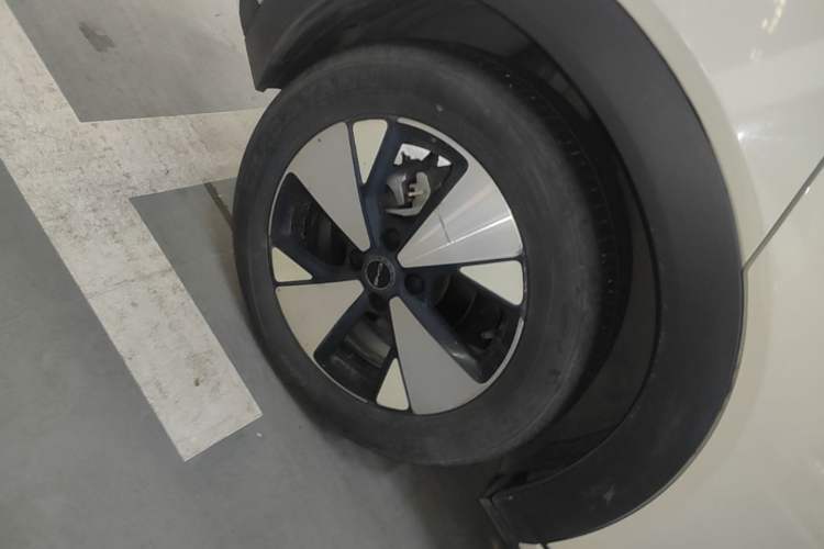 Used BYD Dolphin 2023 420 km Fashion Edition Right Rear Wheel Hub