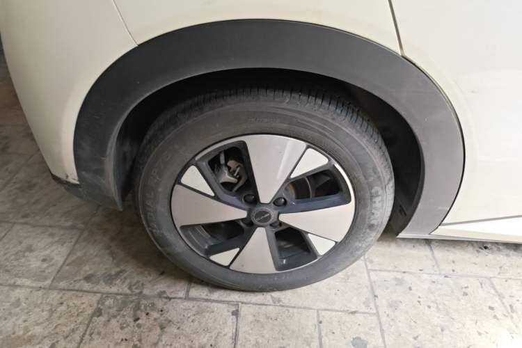 Used BYD Dolphin 2023 420 km Free Version Right Rear Wheel Hub