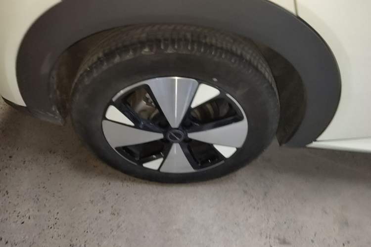 Used BYD Dolphin 2023 420 km Free Version Right Rear Wheel Hub