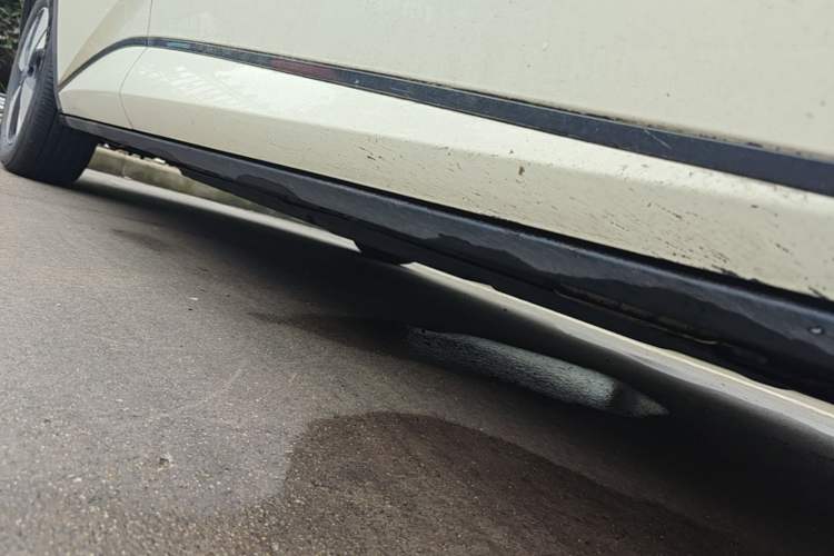 Used BYD Dolphin 2023 420 km Fashion Edition Right Side Sill