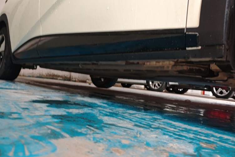 Used BYD Dolphin 2023 420 km Fashion Edition Right Side Sill