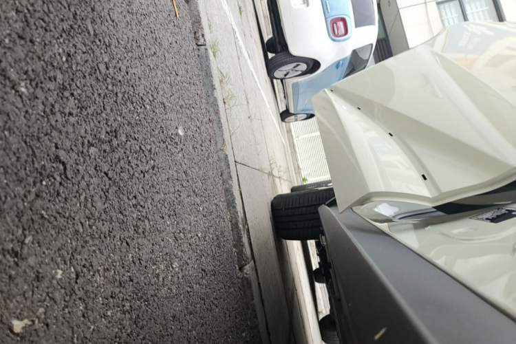 Used BYD Dolphin 2023 420 km Fashion Edition Right Side Sill